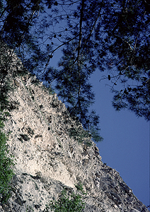 LEICA M3, SUMMICRON 2/50